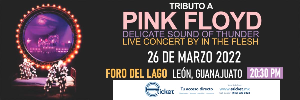 TRIBUTO A PINK FLOYD